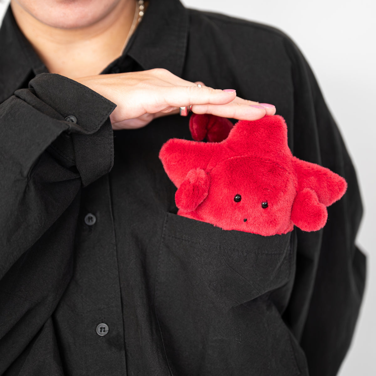 Scorpio Zodiac Plush Bag Charm | Lucky Stars Antares
