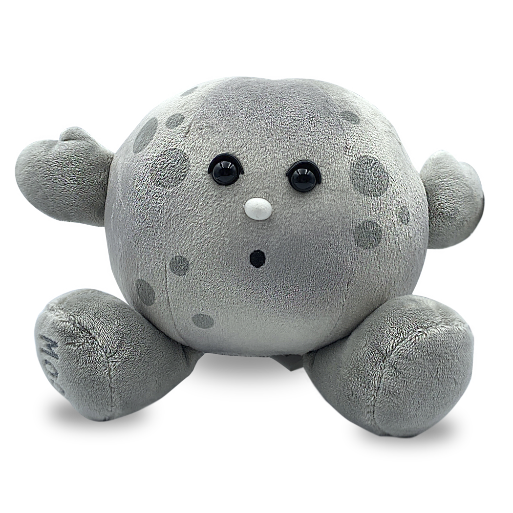 The Ultimate Solar Eclipse Kit – Celestial Buddies