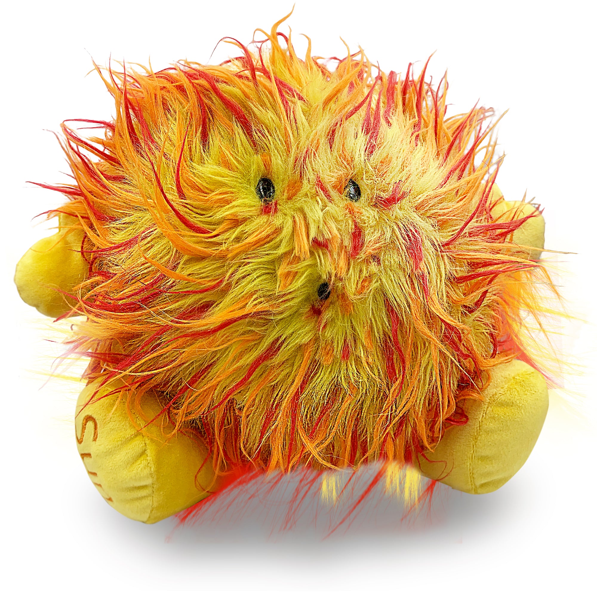 Solar Eclipse Collection from Celestial Buddies | Eclipse Shop