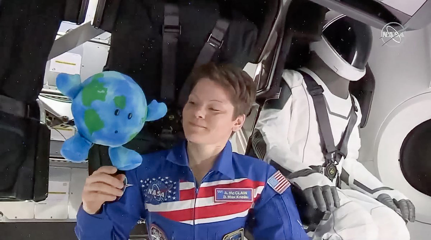 Little Earth Buddy