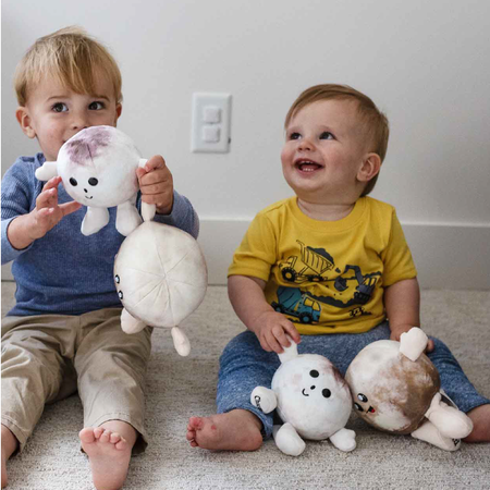 Pluto & Charon Buddy